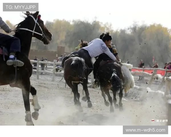 阿瓦提县借力排球总决赛推动体育设施升级激发文旅新活力 阿瓦提县借力排球总决赛推动体育设施升级激发文旅新活力