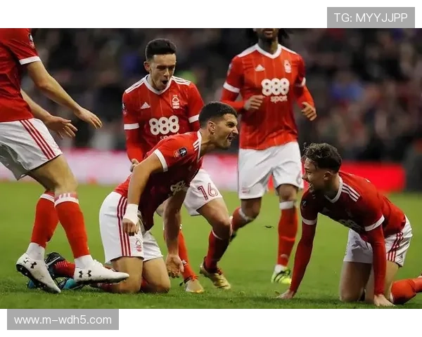 诺丁汉森林财务违规案深度调查:英超盈利与可持续发展规则的挑战 诺丁汉森林财务违规案深度调查:英超盈利与可持续发展规则的挑战