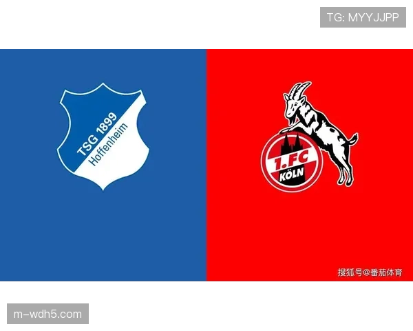 科隆2-2战平霍芬海姆，赛义德·马拉倒钩破门